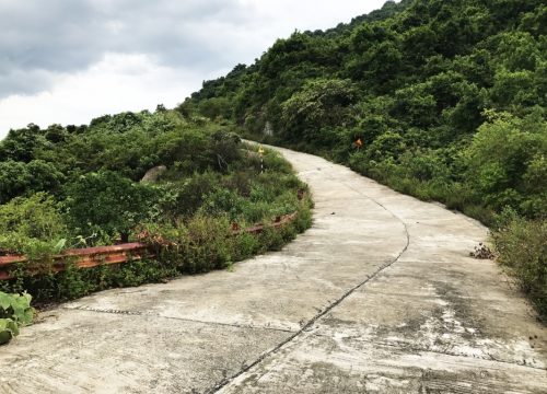 CYCLE UP THE MONKEY MOUNTAIN - SON TRA PENINSULA