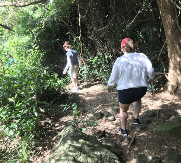 Natral hike on Son Tra Peninsula