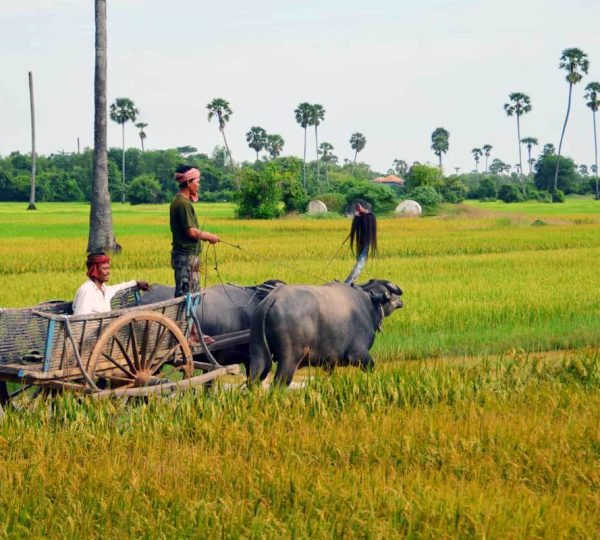phnompenh5