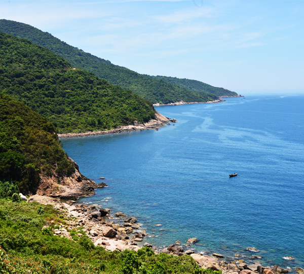 Cycle up Son Tra Peninsula