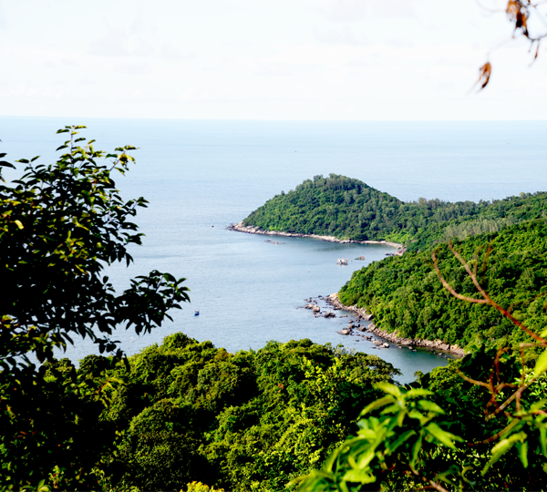 Explore the Monkey Mountain